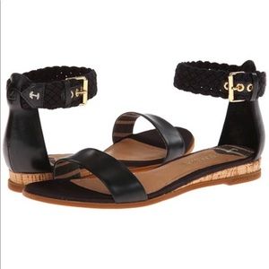 Navy Blue Sperry Top-Sider Isha Sandals